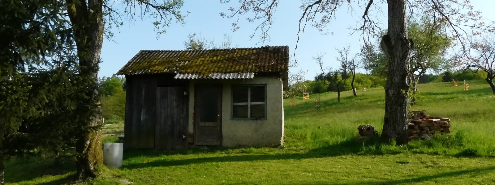 Začetek; za dobro primerjavo med prej in potem